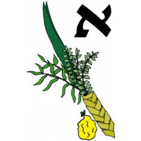 Aleph (Exquisite) Set